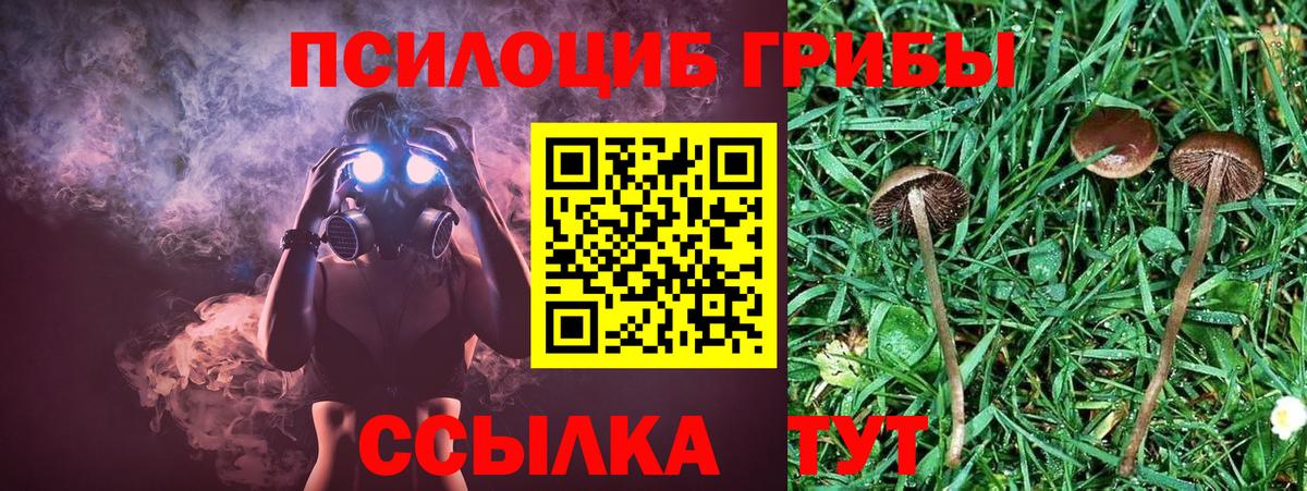 Псилоцибиновые грибы прущие грибы Кстово